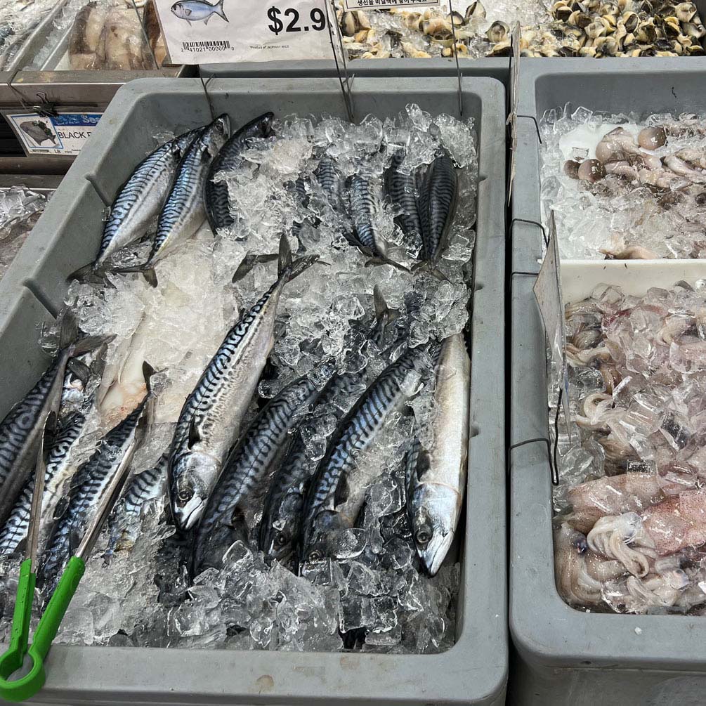 Mackerel fishes are in a tray with ice.