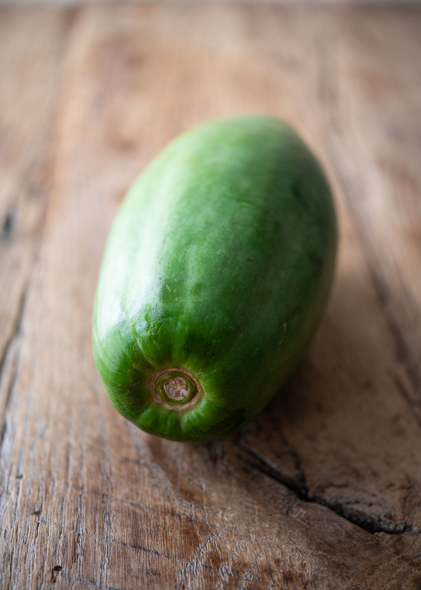 An unripe whole green papaya.