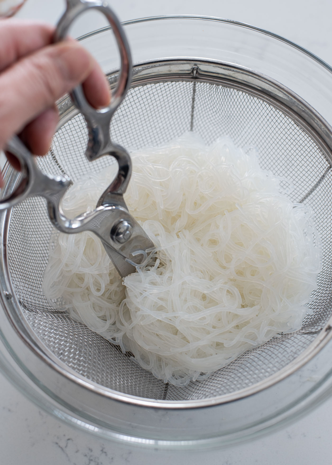 A pair of kitchen scissor is cutting up the drained glass noodles in a colander.
