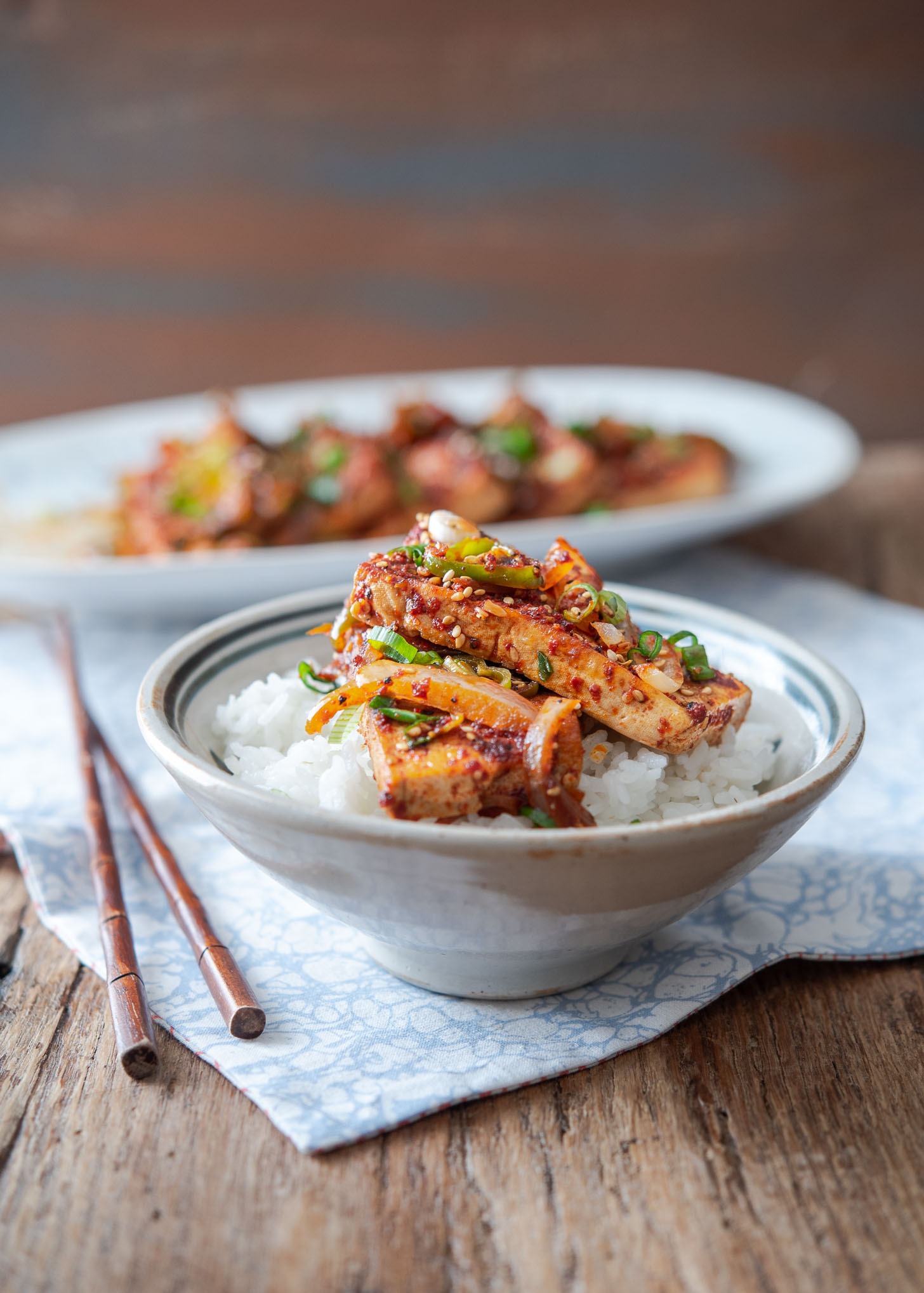 Spicy braised tofu slices are placed on top of a bowl of white rice
