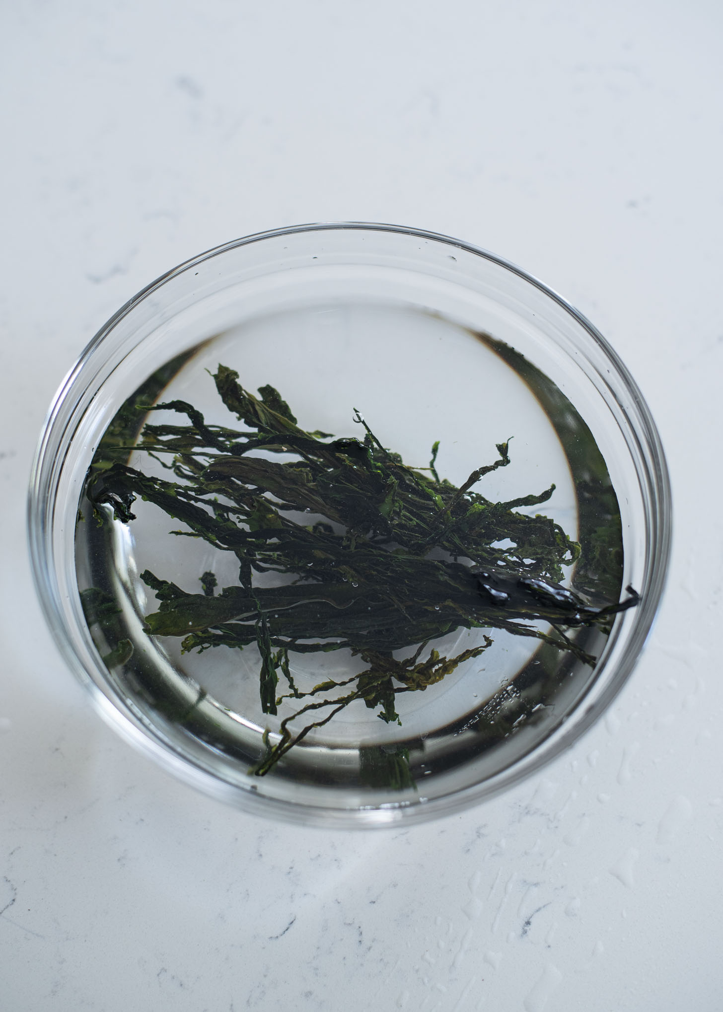 Dried seaweed is soaking in the water