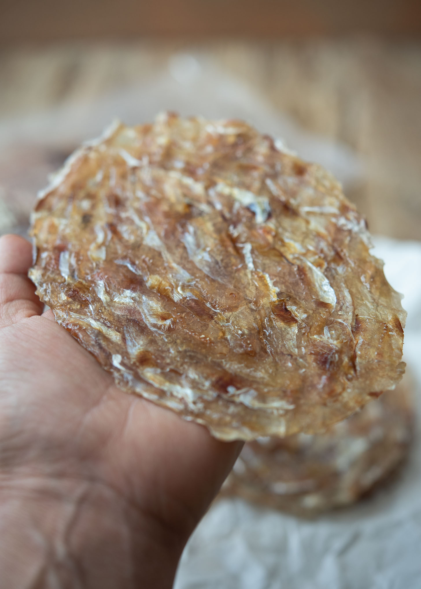 A piece of dried filefish is placed on hand.