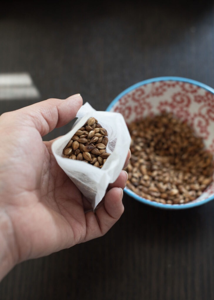 Roasted barley grains in a tea bag to make boricha.