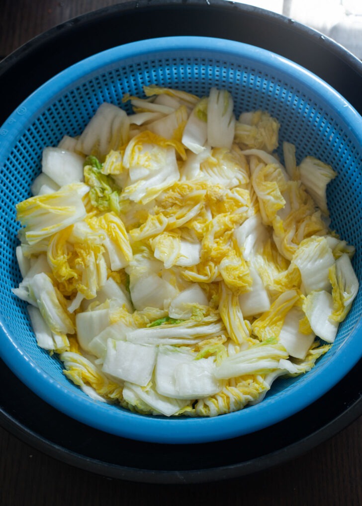 Salt brined cabbage being drained in a large colander.