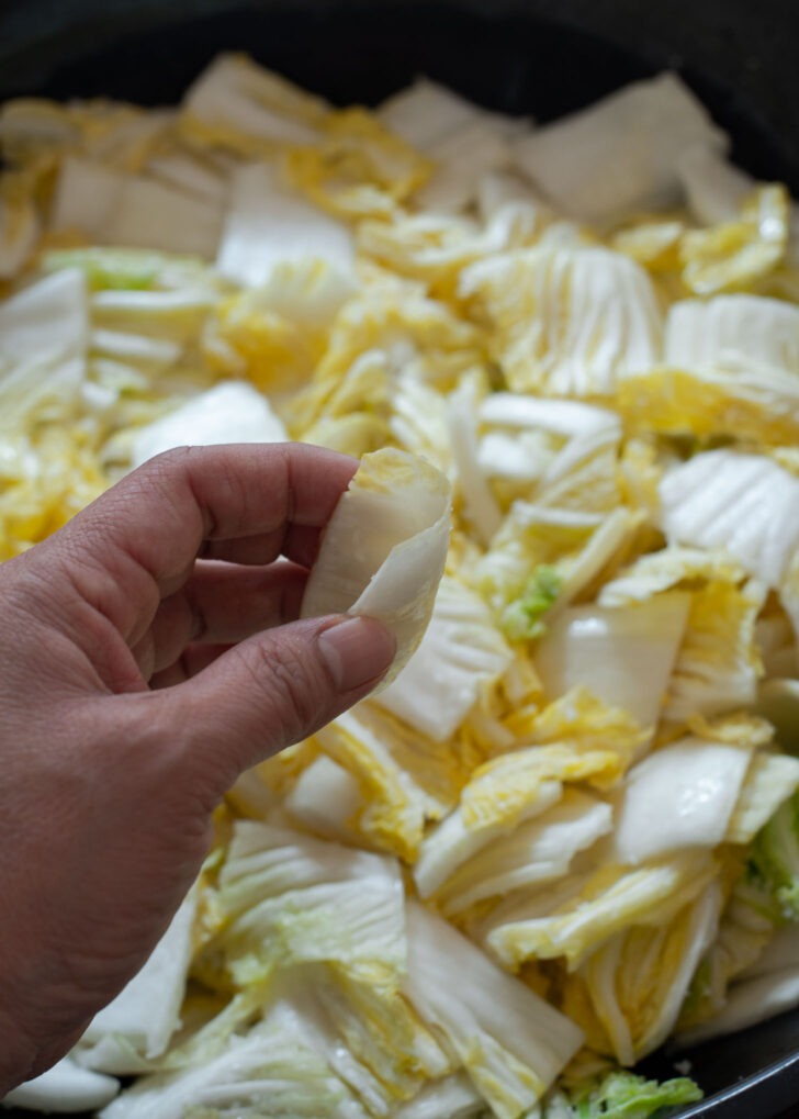 A piece of napa cabbage is bent with fingers to see if it is easily bending without breaking.