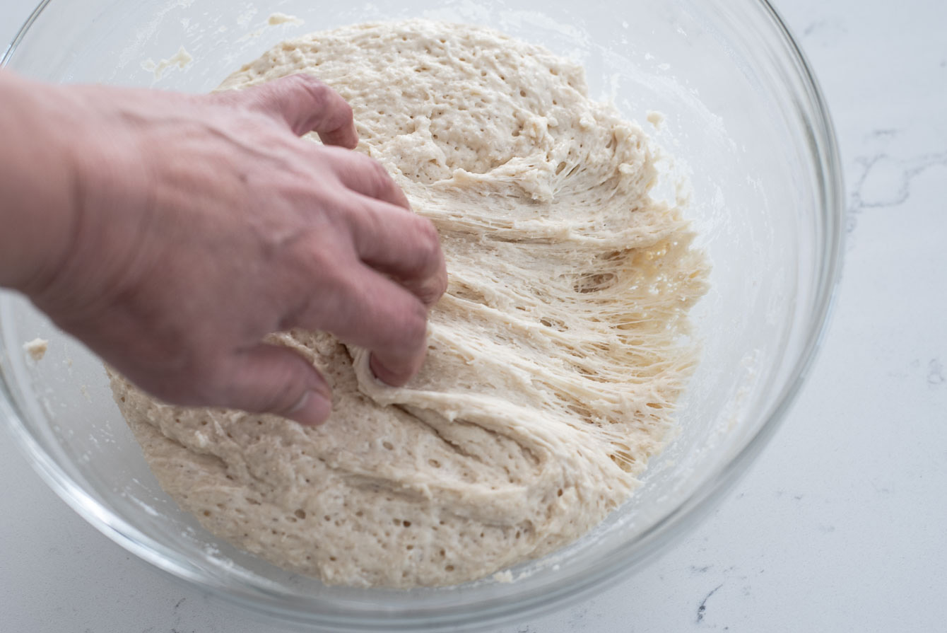 Risen dough showing spider web-like texture when pulled.