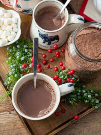 Hot chocolate in a mug with homemade cocoa mix and marshmallow.