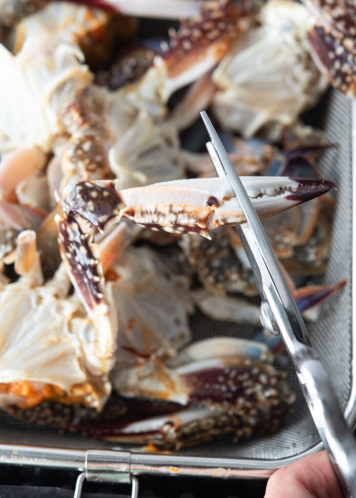 Cutting of claw part of crab with scissors.