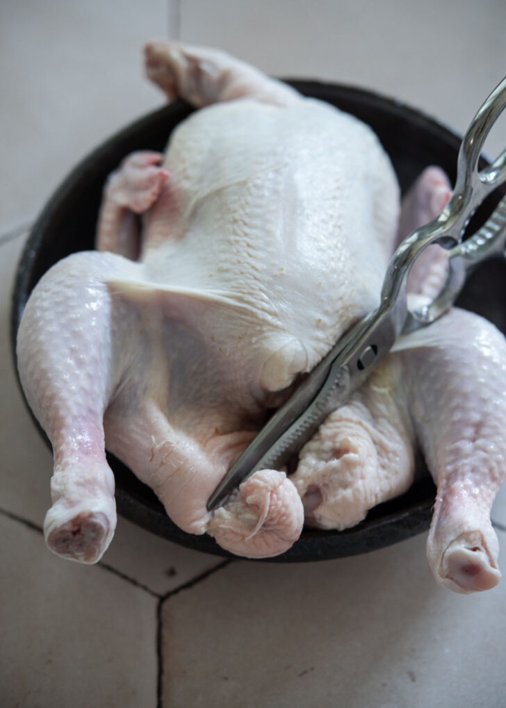 Trimming whole chicken with kitchen scissors before cooking
