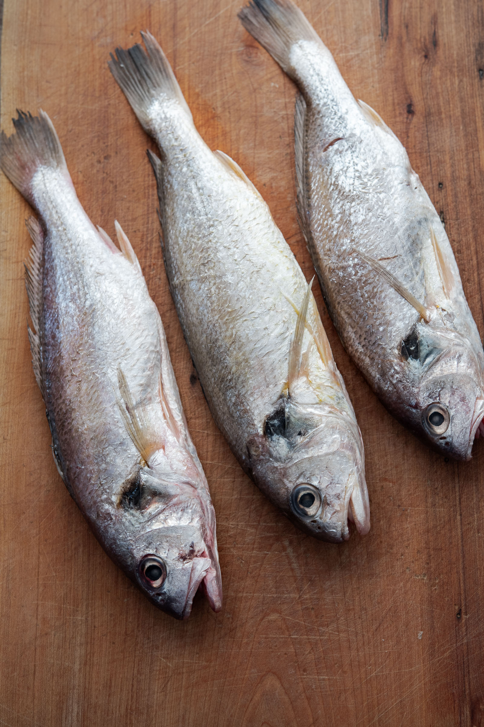 Fresh whole croaker fish for Korean maeuntang fish stew