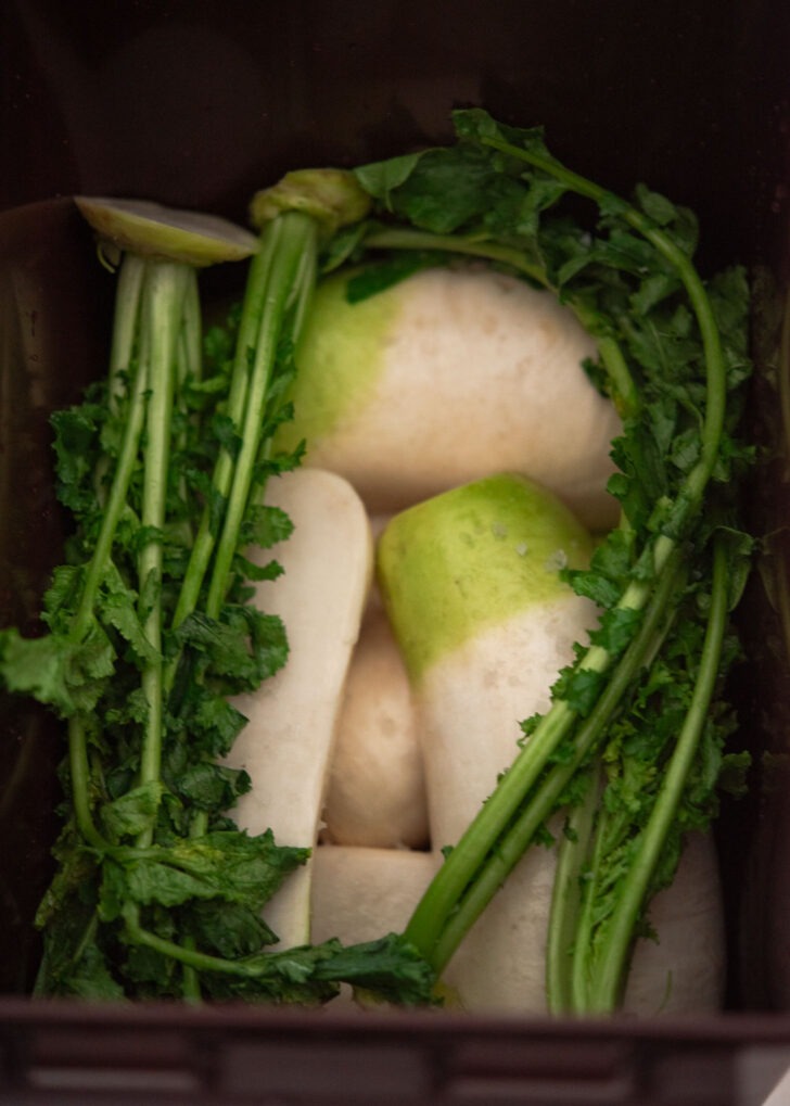 Salted radish and greens arranged in a kimchi container