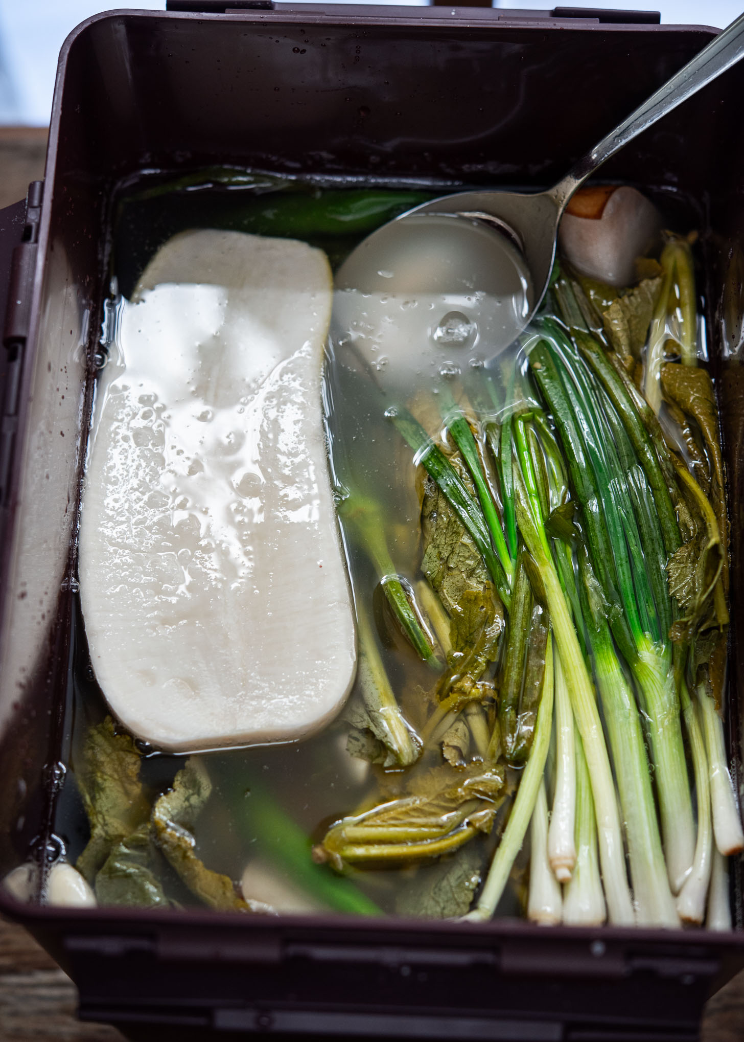 Fermented dongchimi kimchi with its brine in a kimchi container