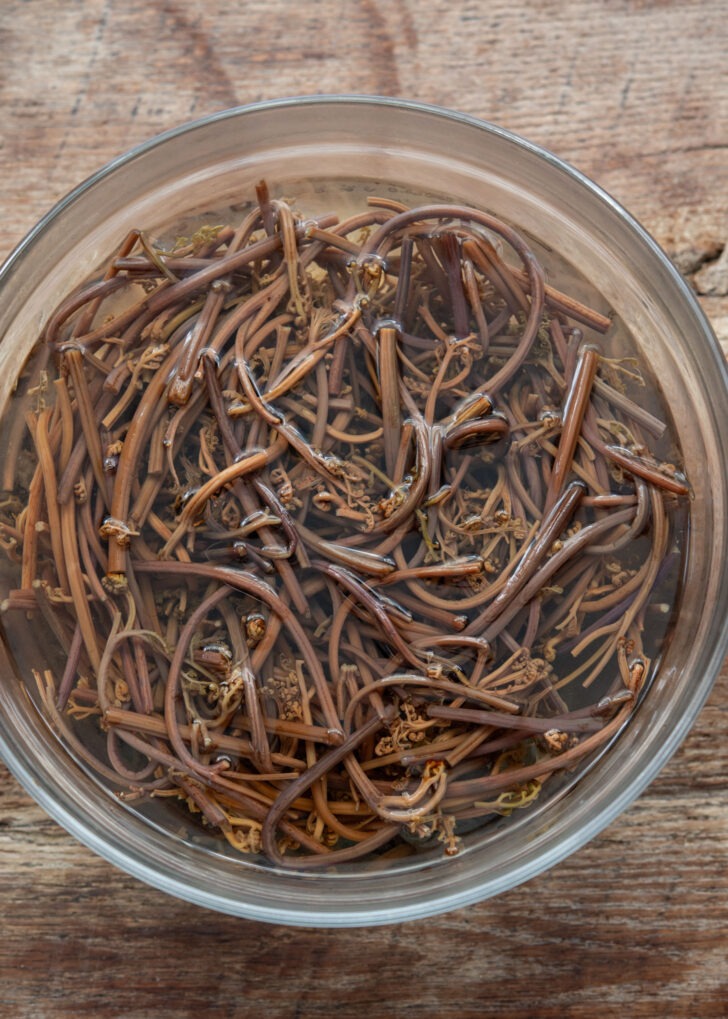 rehydrated gosari (Korean fernbrake) soaking in cold water after boiling