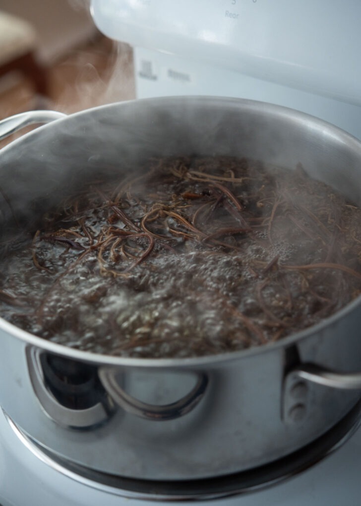 gosari (Korean fernbrake) boiling in water to soften