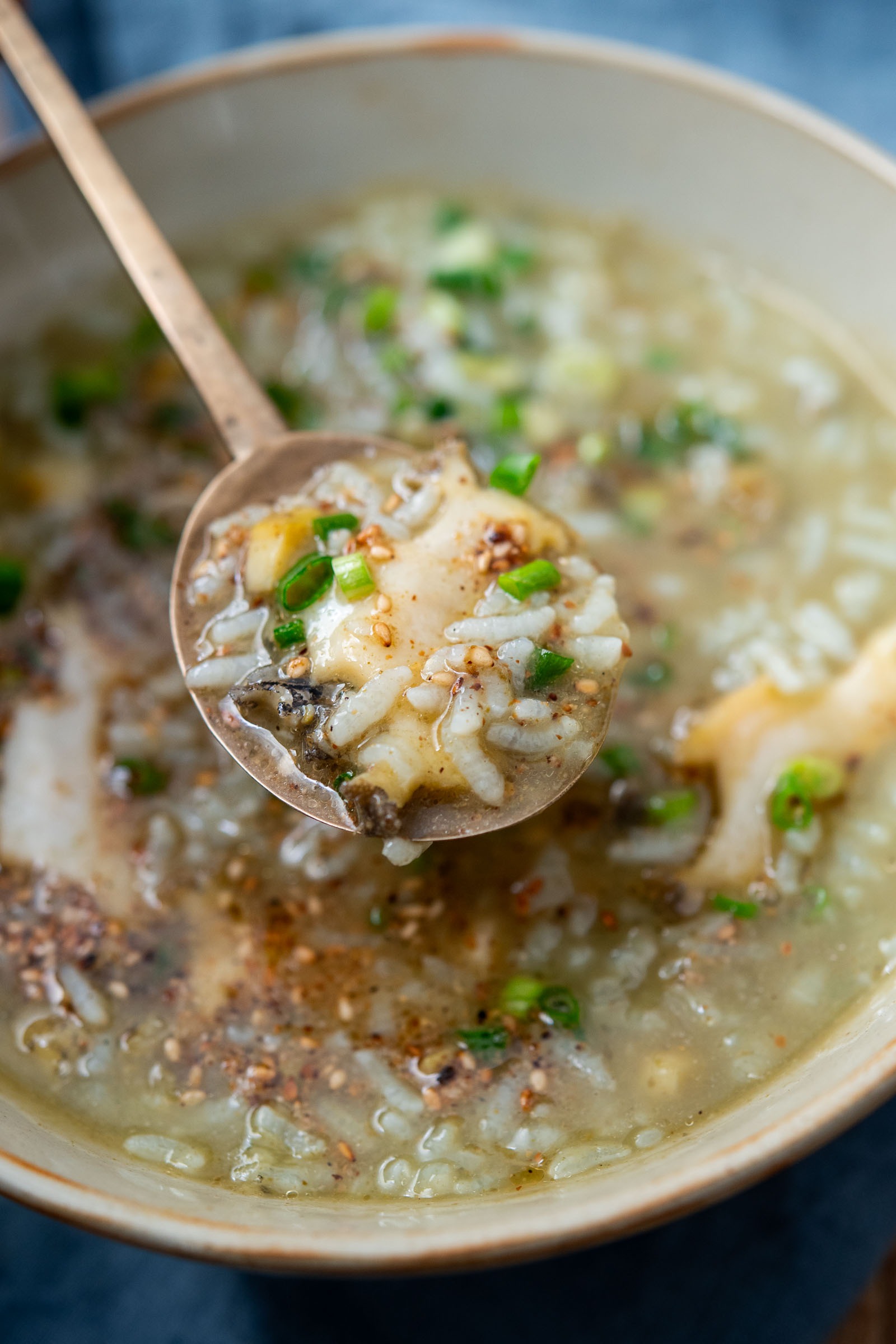 Close up of abalone porridge with rice and sesame