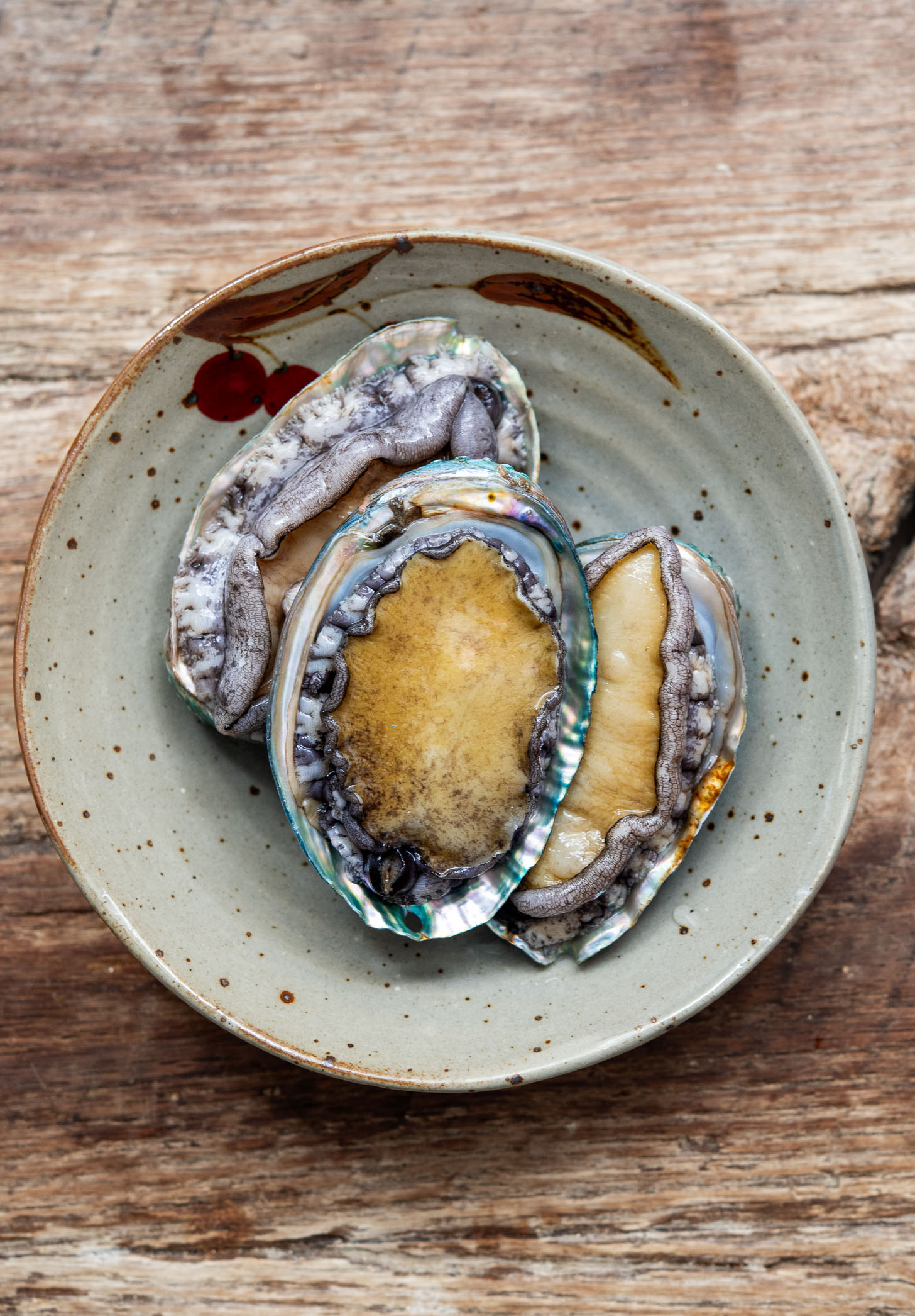 Raw whole abalone with shells on plate