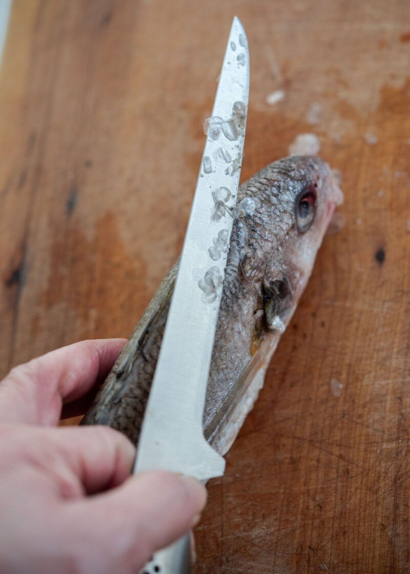 Removing scales from fish head for Korean fish stew