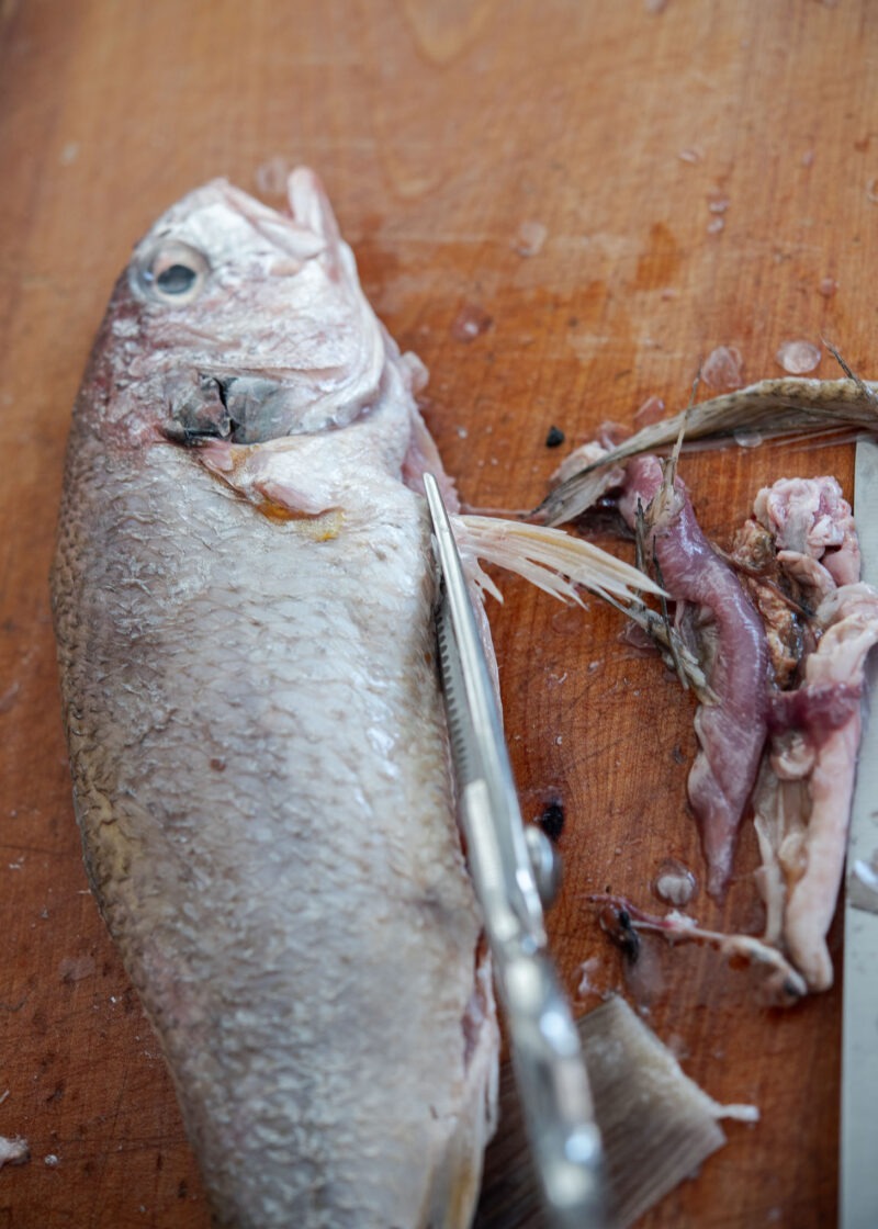 Trimming fish fins while preparing whole fish for Korean maeuntang
