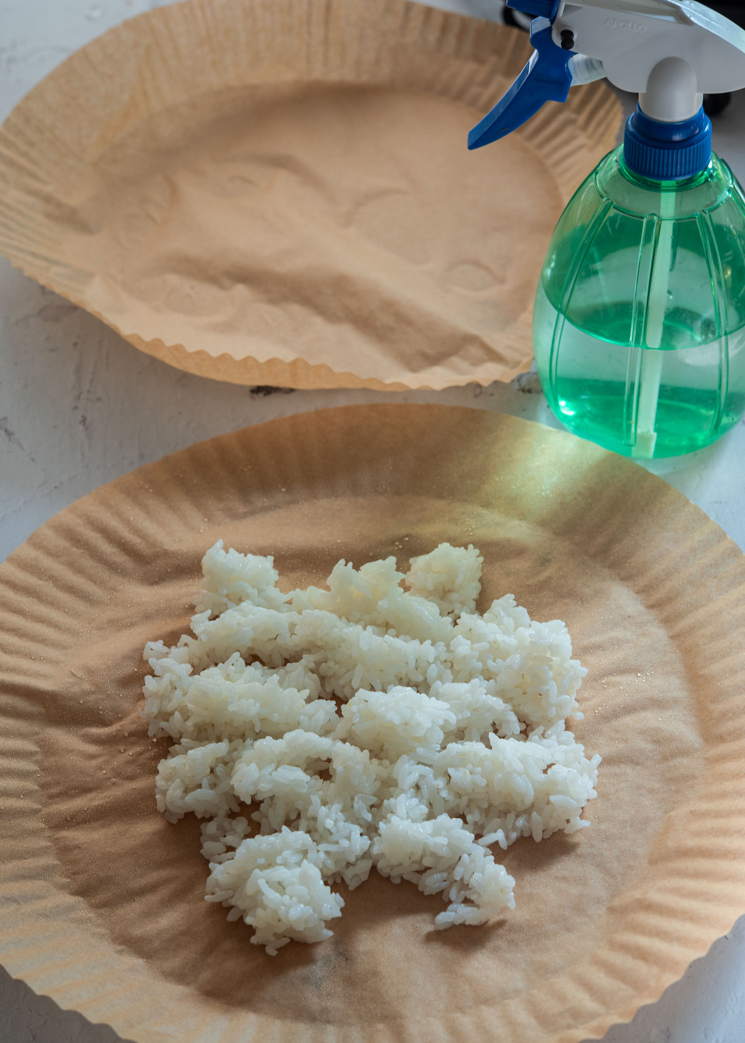 Cooked white rice spread on parchment paper lightly misted with water