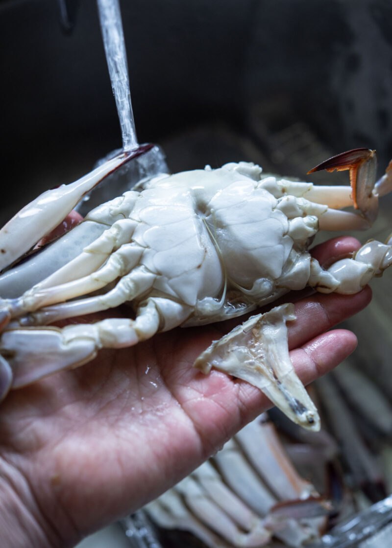 Rinsing the underside of a frozen crab under cold running water.