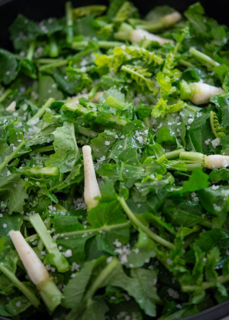 Young radish greens coated with Korean coarse sea salt before wilting