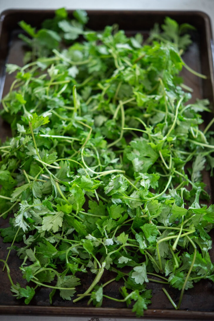 spreading moist mugwort on a baking sheet