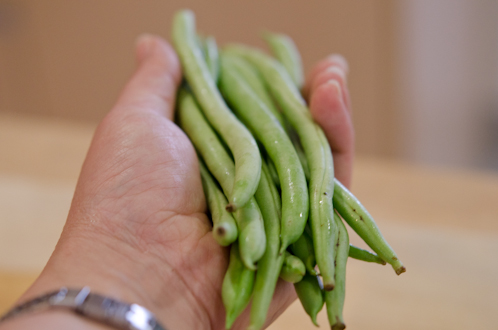 A hand is holding a few pieces of fresh green beans.