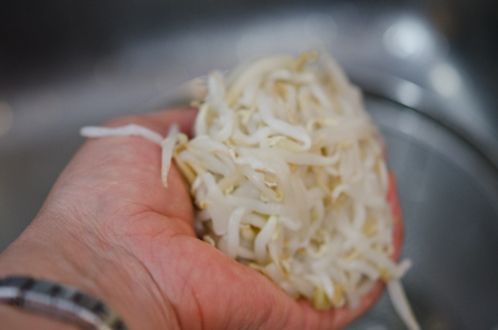 Blanched mung bean sprouts are squeezed out by hand to remove moisture.