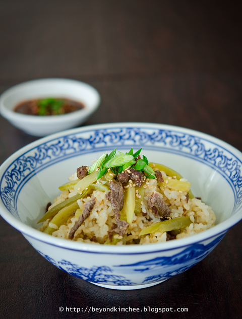 Radish Beef Rice Bowl